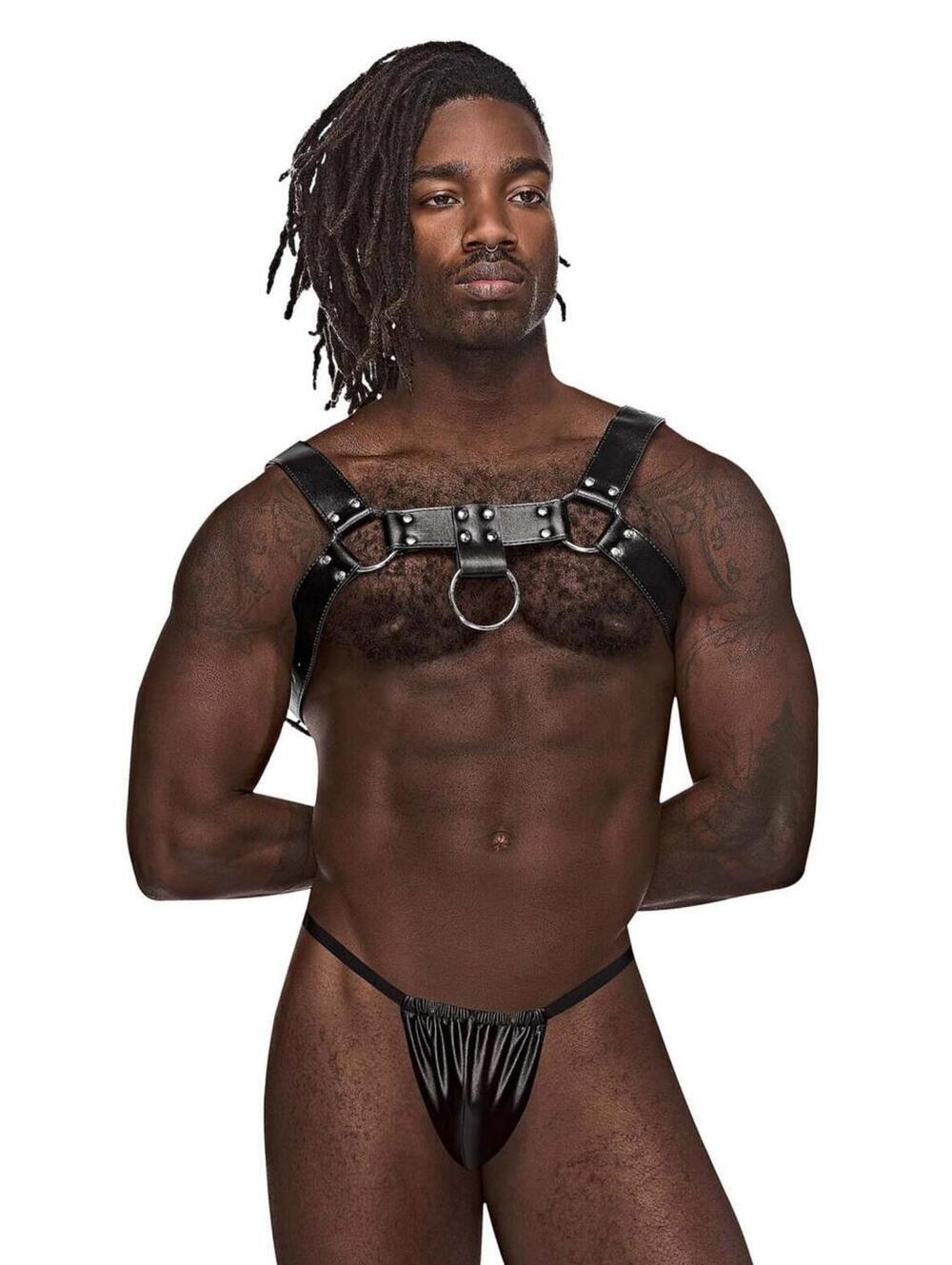 Male Power 590-266 Leather Aries Harness Color Black